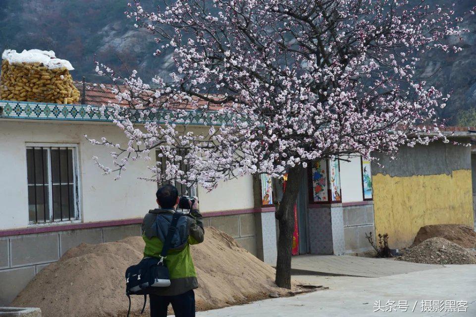 濞佹捣涔冲北妯辨,灞变笢涔冲北妯辨