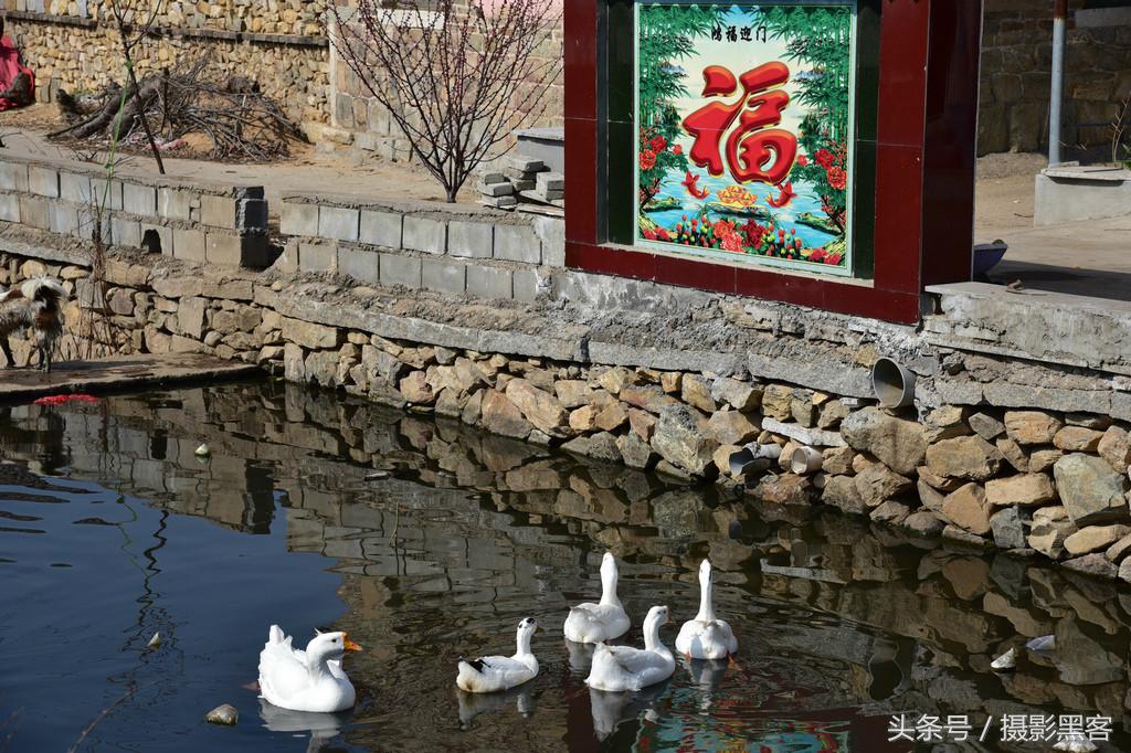 濞佹捣涔冲北妯辨,灞变笢涔冲北妯辨