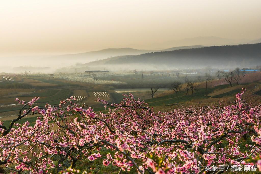 濞佹捣涔冲北妯辨,灞变笢涔冲北妯辨