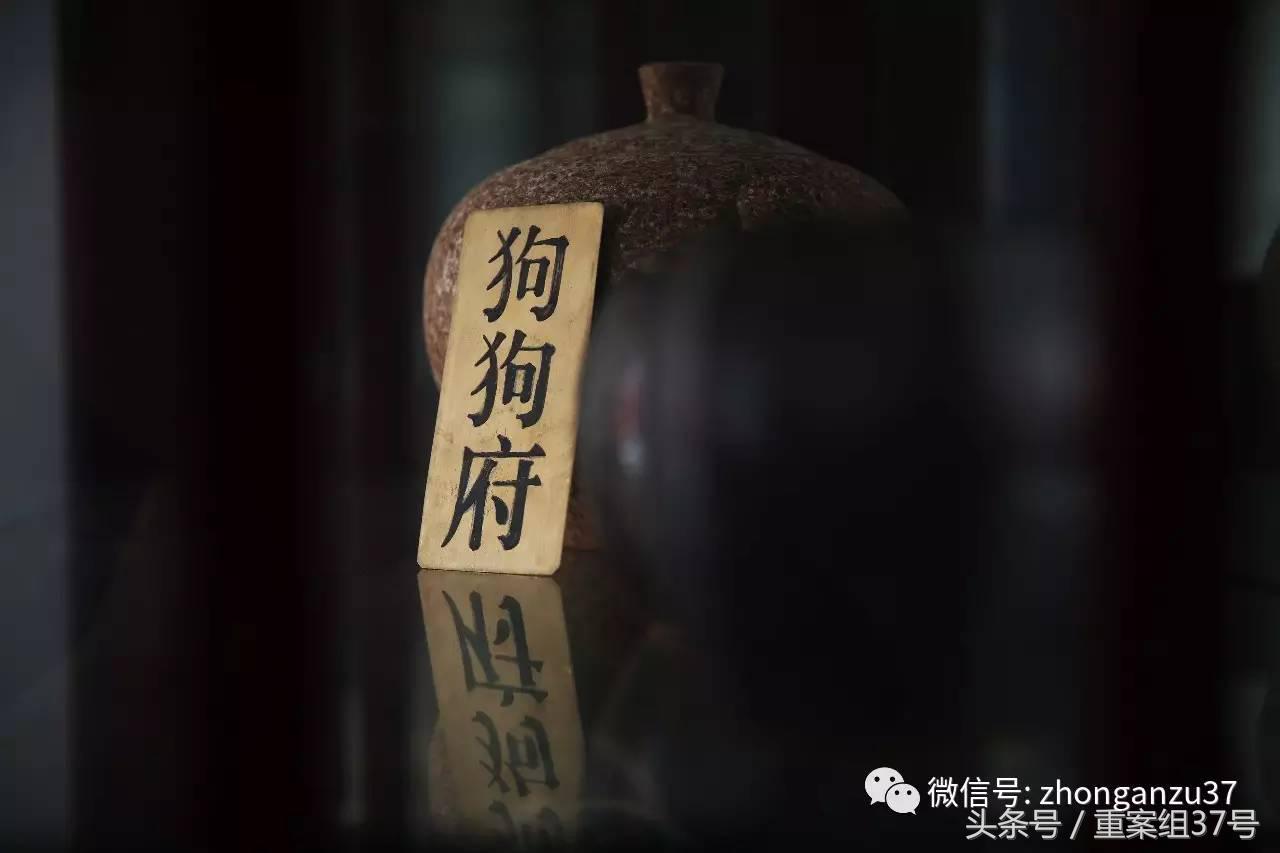 谈宠物殡葬,宠物殡葬能解决的问题