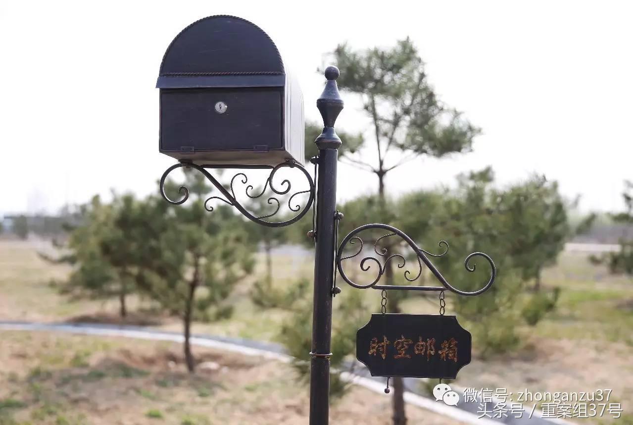 谈宠物殡葬,宠物殡葬能解决的问题