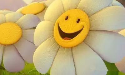 如何化解烦躁的情绪,解决烦躁情绪的最佳方法