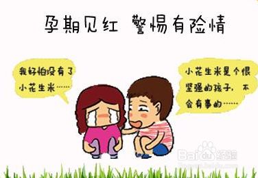 孕妈要避开十个禁忌,孕妈妈注意保胎的四大误区要知道