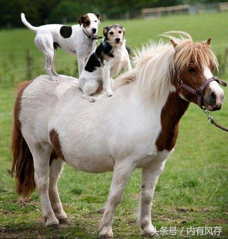 固态硬盘蓝屏掉盘怎么解决,ssd硬盘蓝屏怎么解决