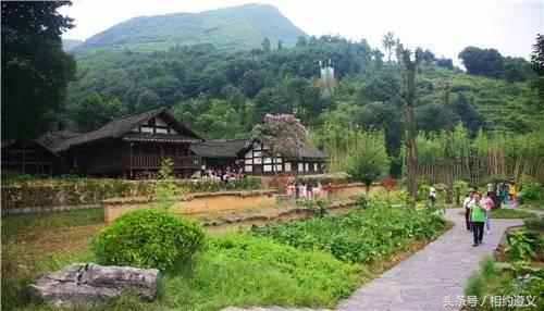 遵义发布马灯,遵义马灯