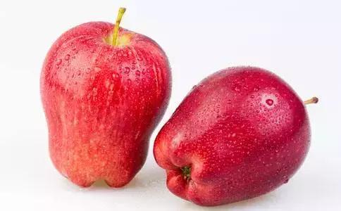 假苹果的特征,假苹果手机是什么样的