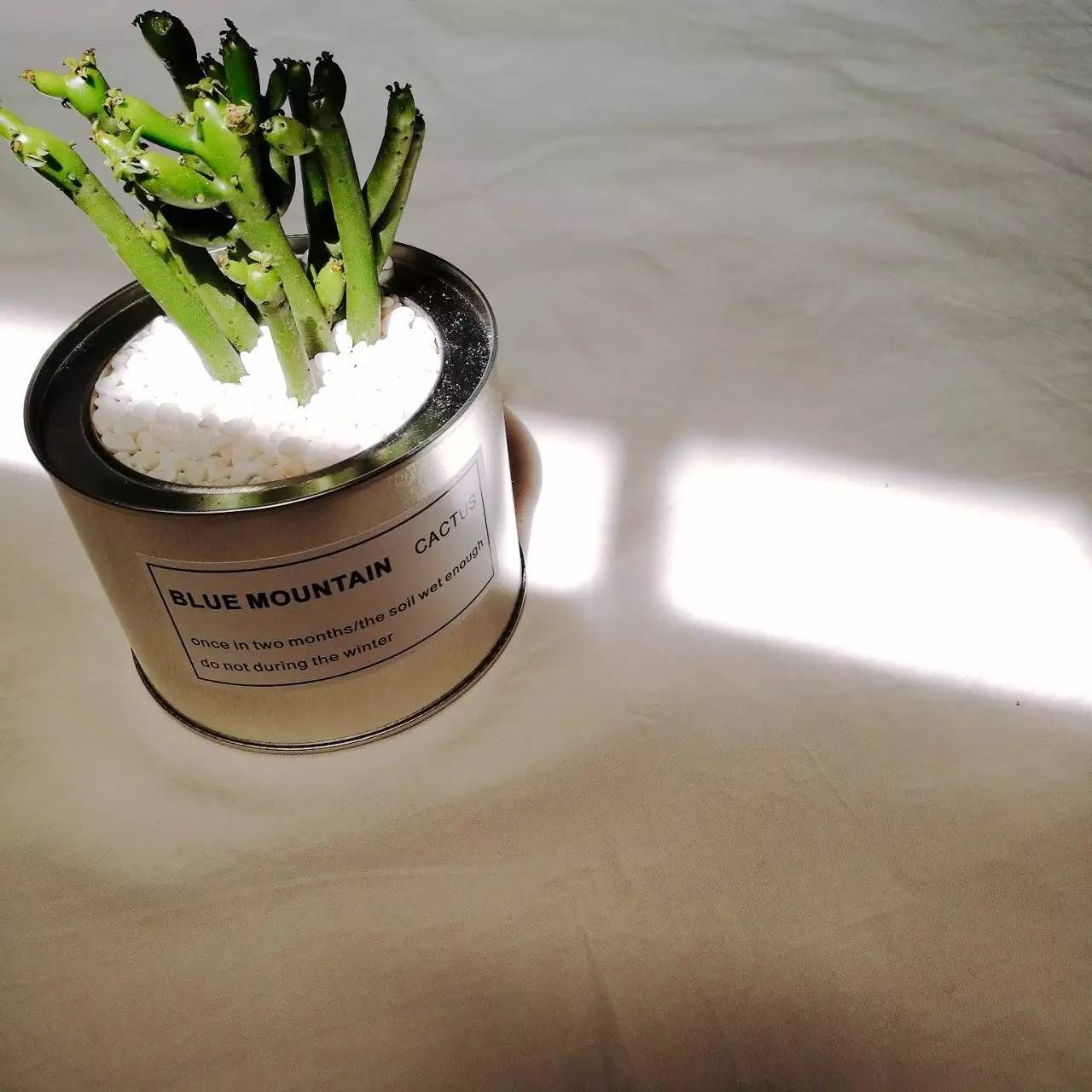 三月好物种草分享,三月新手化妆品推荐