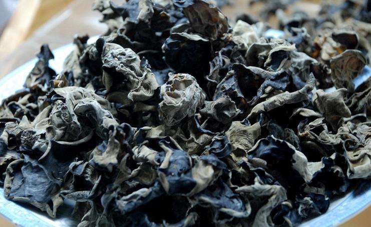 东北的木耳生长基地,人工种植黑木耳干货多少钱一斤