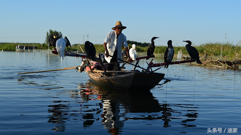 带你去看白洋淀的好景色,远离喧嚣白洋淀旅行