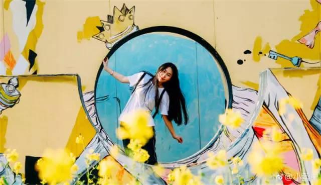 大美泰达满地灿烂！花期易逝，千金不换，还不快来！