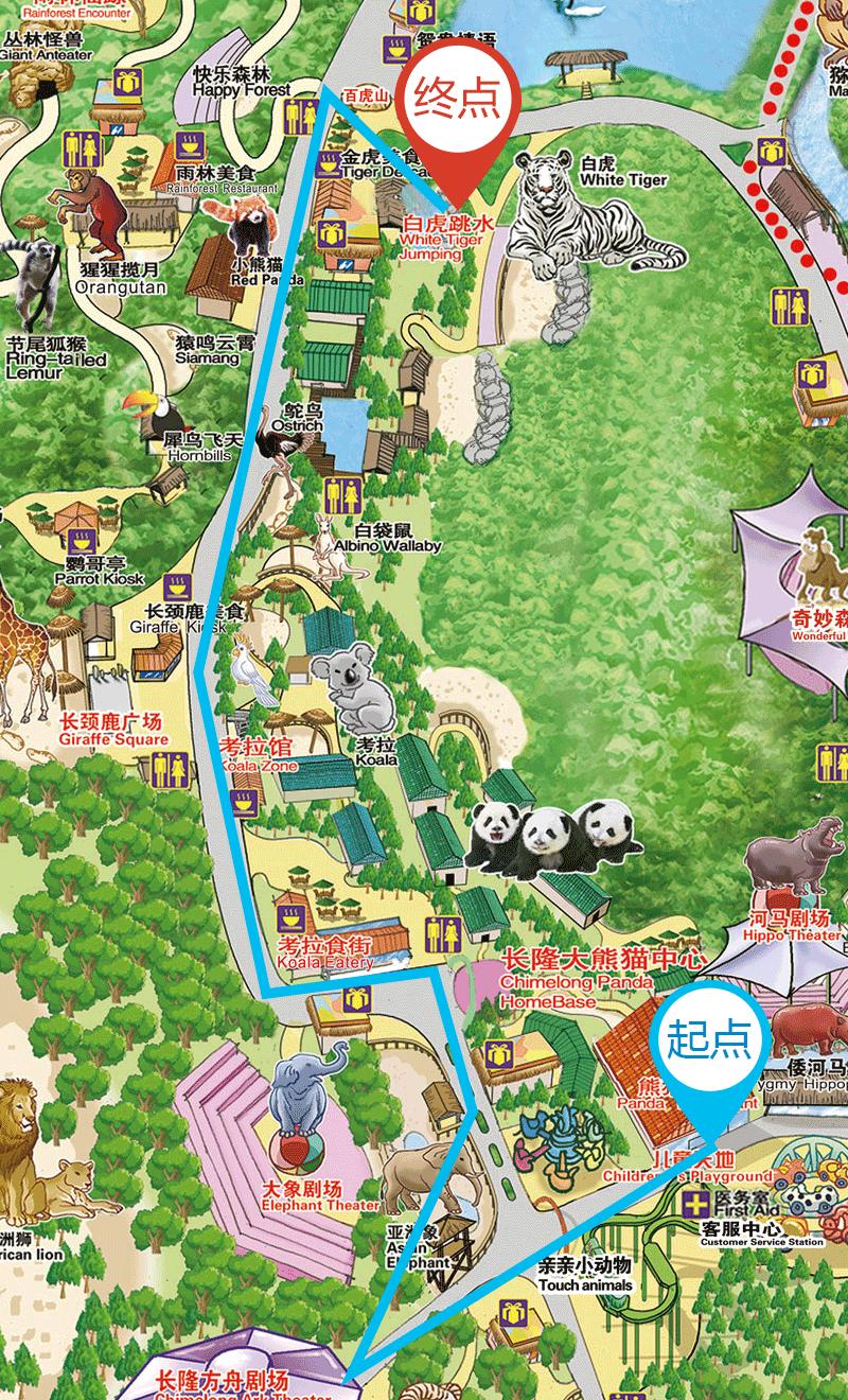 广州长隆野生动物园真实评价,广州长隆野生动物园讲解动物