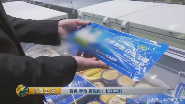 鲥鱼和刀鱼的鲜美,刀鱼鲥鱼河豚被称为长江三鲜