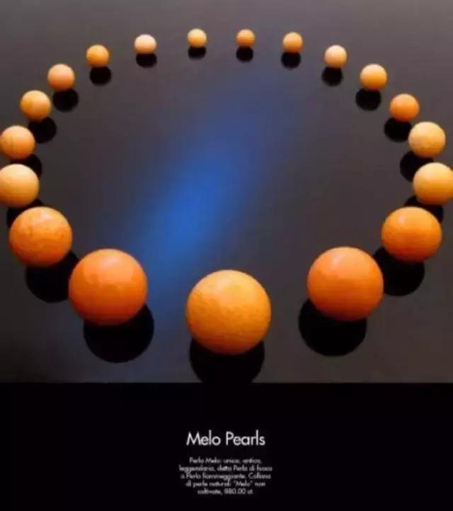 海螺吐出龙珠的视频,海螺吃出天价龙珠