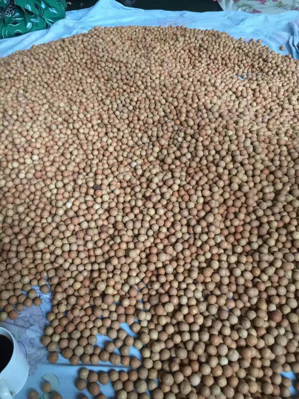 尼泊尔凤眼菩提0.8-0.9,尼泊尔凤眼菩提怎么清洗