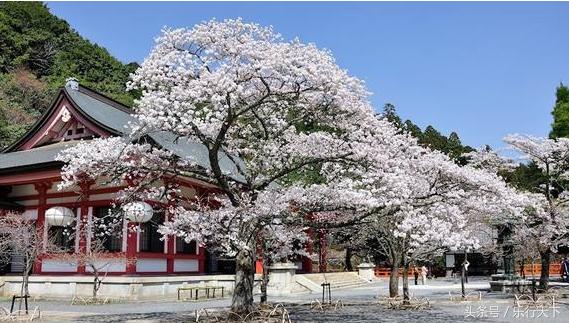 清明假期赚点钱,清明假期理财赚钱方法