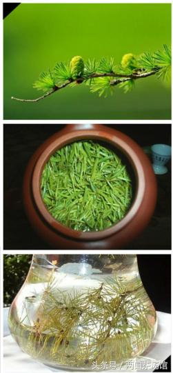 大别山深处的绝美山珍！