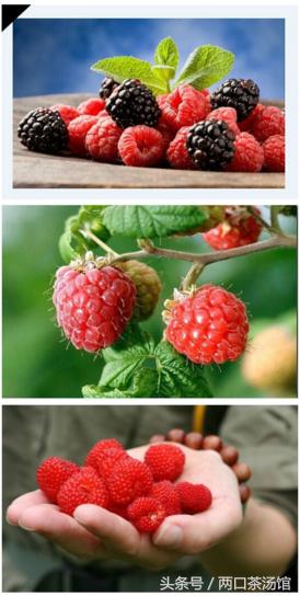 大别山深处的绝美山珍！