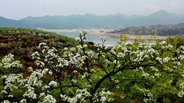 太壮观!清远这个群山萦绕的天湖惊现百米大瀑布,你竟然不知道?