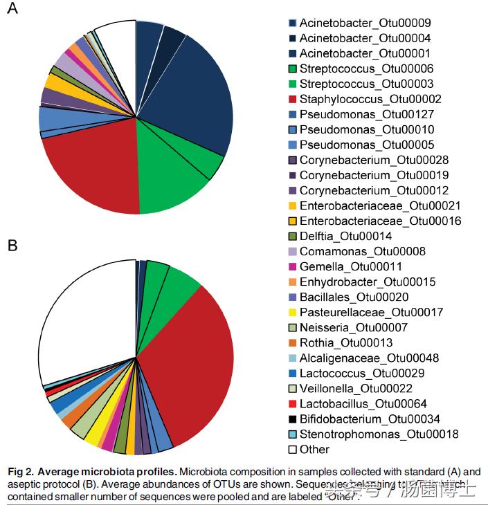 母乳放置久产生什么细菌,母乳显微镜下的细菌