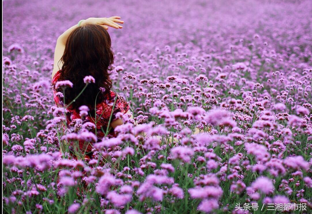 赏花回来脸上长痘,踏青赏花正当时花粉过敏怎么办