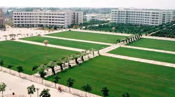 春天来了带着孩子出来,春天来了带着孩子去踏青吧