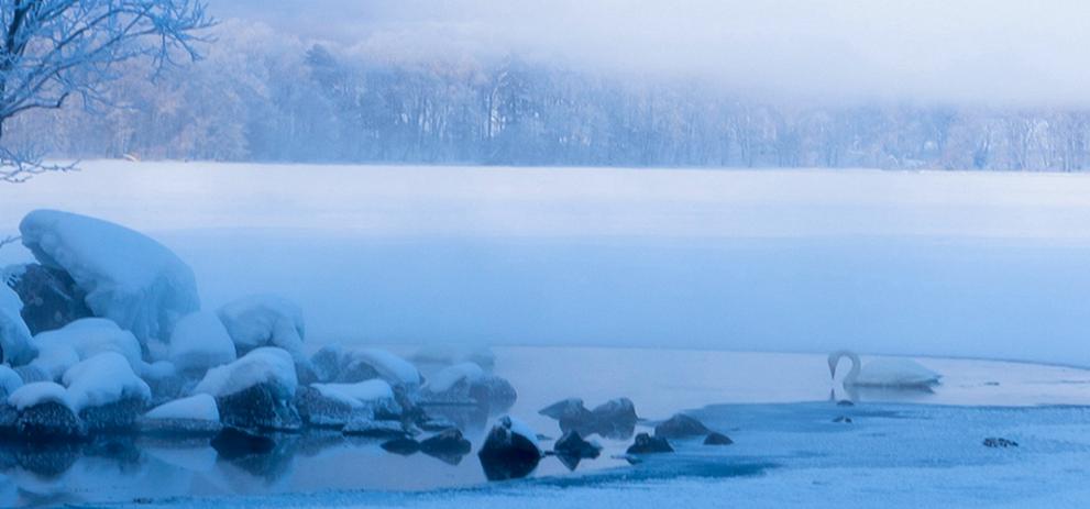 自古多情空余恨下一句是什么,自古深情留不住唯有套路得人心呢