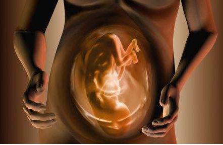 自然分娩三阶段动画,自然分娩第三胎