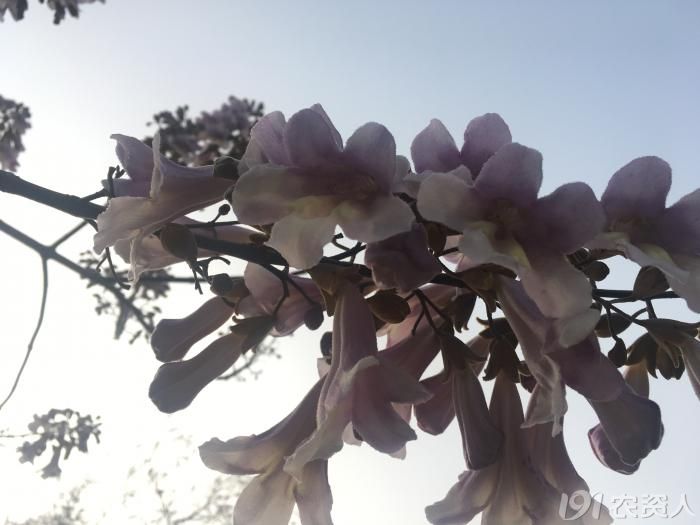 农村有这几样东西别扔,农村人这几种事千万不要做