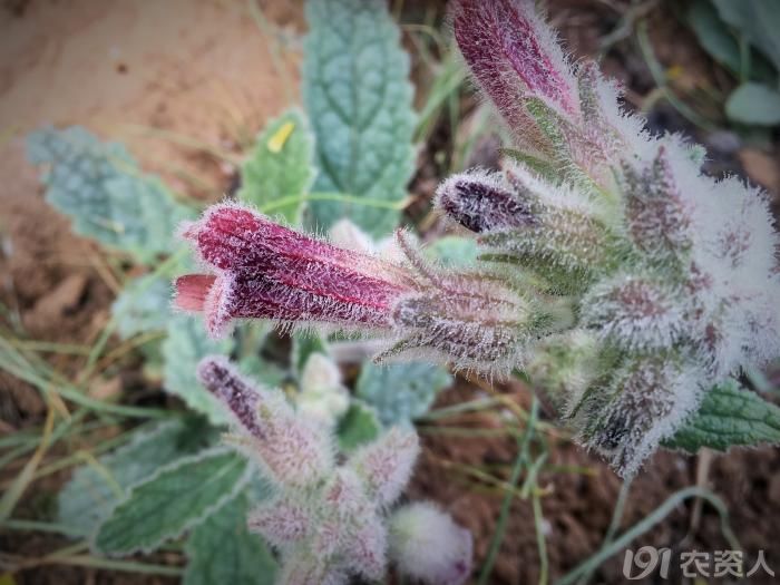 农村有这几样东西别扔,农村人这几种事千万不要做