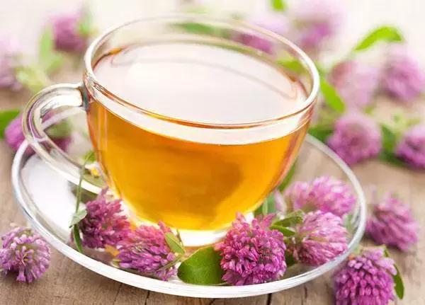 注意了这四类人不宜喝茶,这6种情况下不建议喝茶