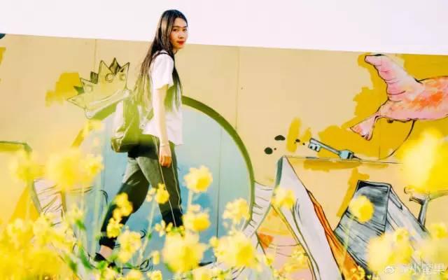 大美泰达满地灿烂！花期易逝，千金不换，还不快来！