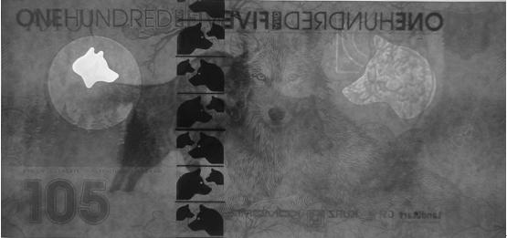 从“狼钞”引伸开来