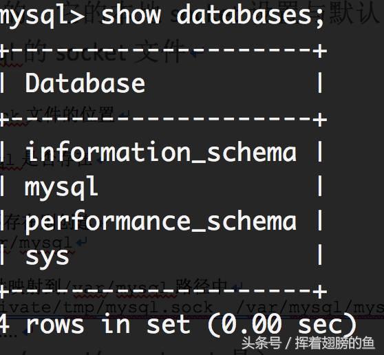 mysql数据库进阶篇74,连接mysql数据库需要几个步骤