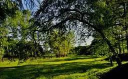 煮绿豆汤怎么让绿豆汤不发黑,绿豆汤为什么变黑了