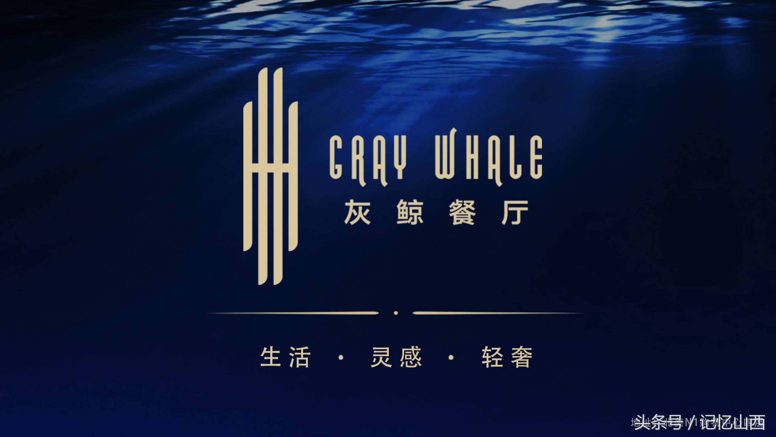 灰鲸迁徙觅食,灰鲸云南旅游