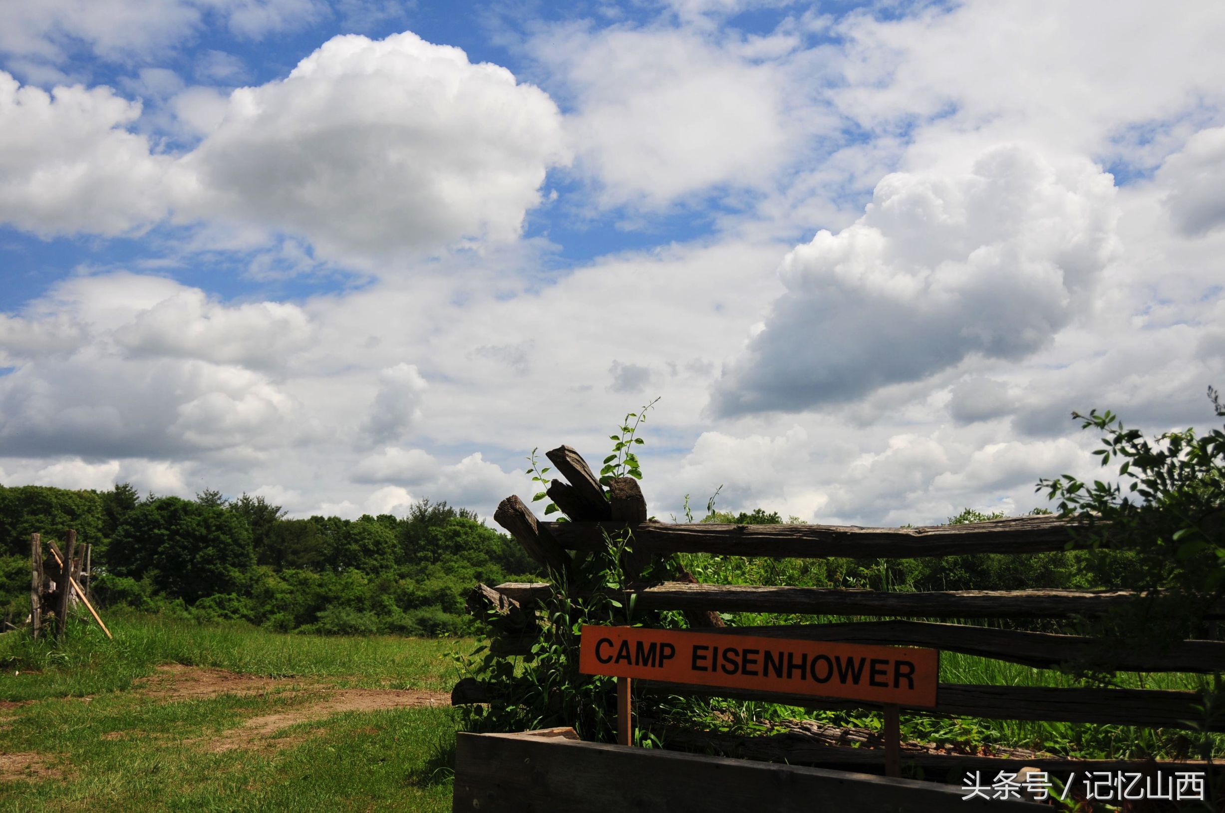 灰鲸迁徙觅食,灰鲸云南旅游
