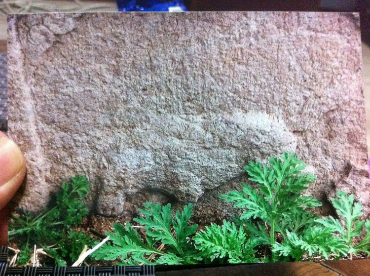 土默特王爷府,土默特旗王爷府