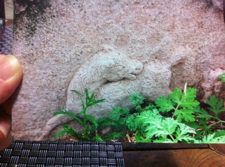 土默特王爷府,土默特旗王爷府