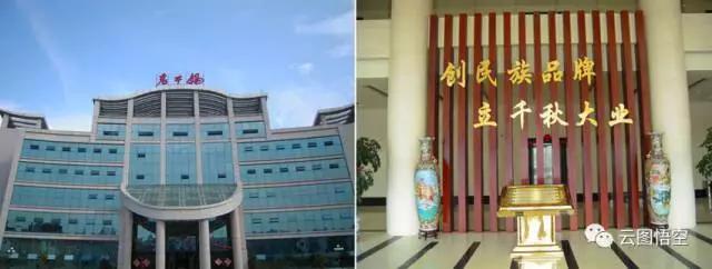 老干妈创业史,老干妈现状和前景