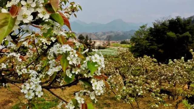 太壮观!清远这个群山萦绕的天湖惊现百米大瀑布,你竟然不知道?