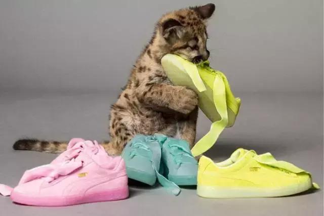 今年秋冬流行的三双鞋,今年最好看的鞋子是哪一款