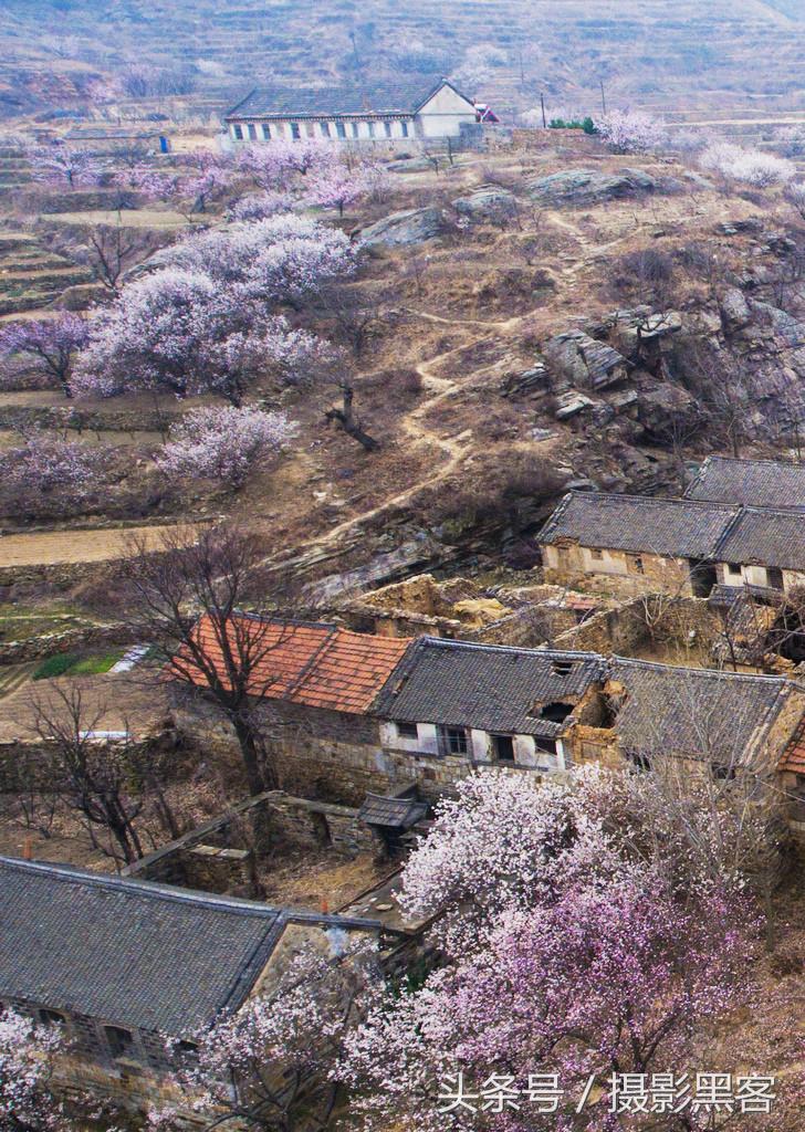 濞佹捣涔冲北妯辨,灞变笢涔冲北妯辨