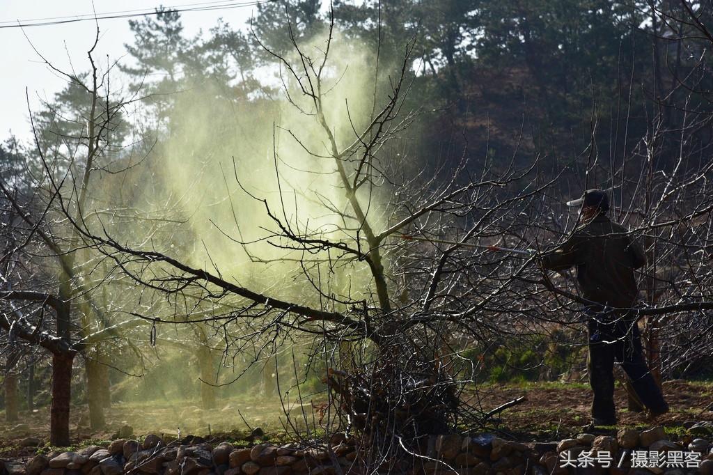 濞佹捣涔冲北妯辨,灞变笢涔冲北妯辨
