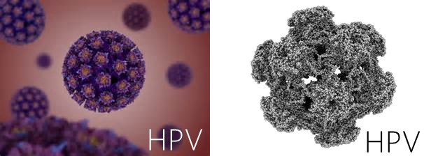 宫颈癌前病变cin2治愈率,宫颈管内癌前病变属于cin么
