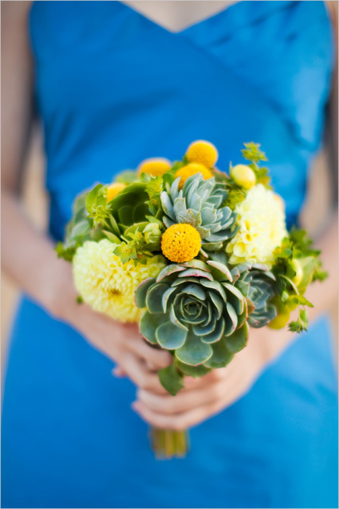 一股清香,一股青苹果香味的多肉植物百合丽丽,适合做多肉手捧花