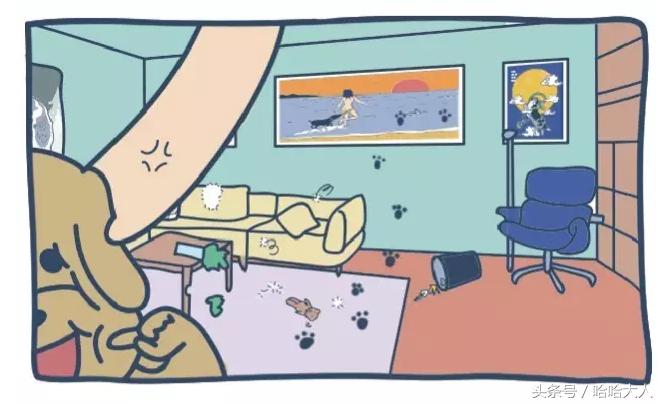 狗狗撕家怎么管教,狗狗撕家视频