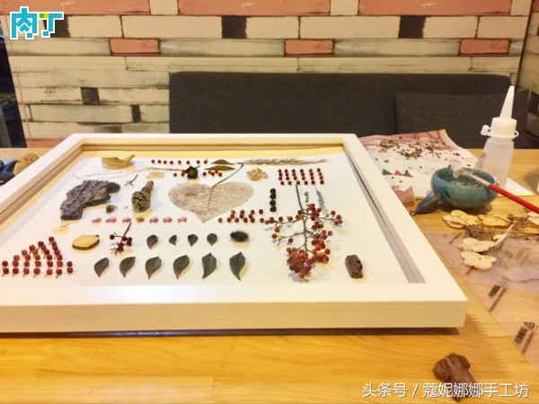 手工制作植物标本,手工标本制作植物花