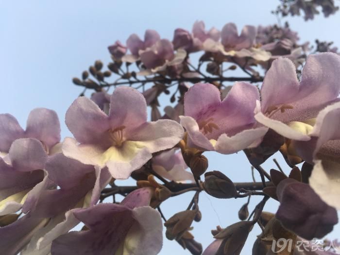 农村有这几样东西别扔,农村人这几种事千万不要做