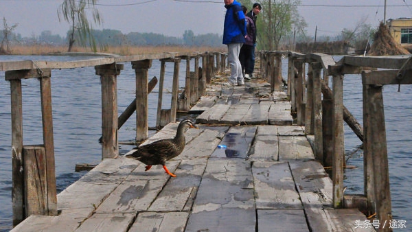 带你去看白洋淀的好景色,远离喧嚣白洋淀旅行
