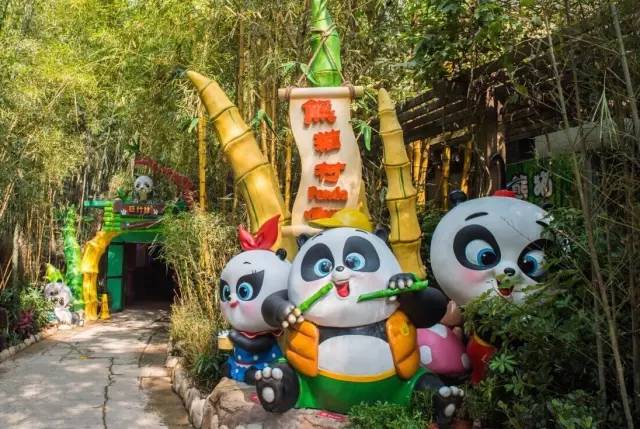 广州长隆野生动物园真实评价,广州长隆野生动物园讲解动物